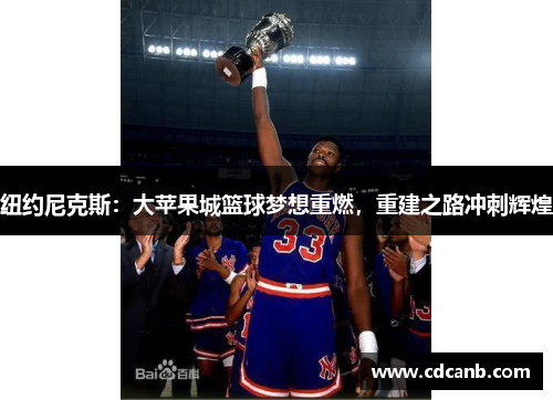 纽约尼克斯：大苹果城篮球梦想重燃，重建之路冲刺辉煌