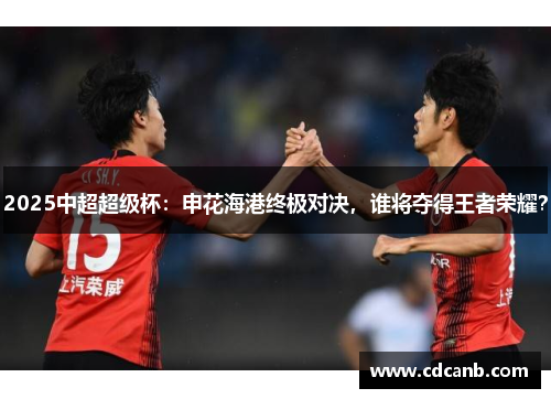 2025中超超级杯：申花海港终极对决，谁将夺得王者荣耀？