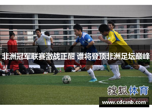 非洲冠军联赛激战正酣 谁将登顶非洲足坛巅峰