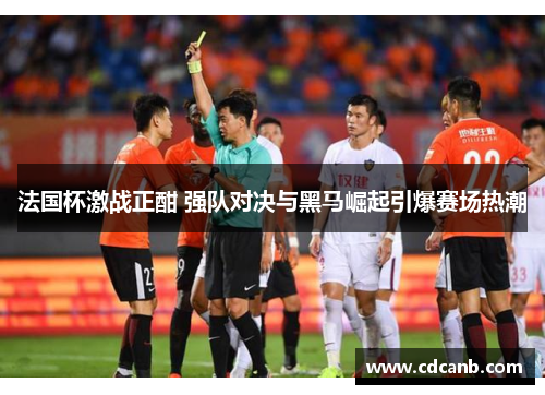 法国杯激战正酣 强队对决与黑马崛起引爆赛场热潮
