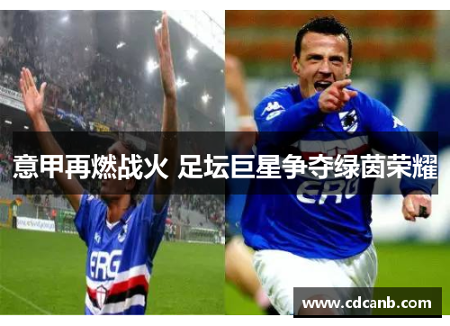 意甲再燃战火 足坛巨星争夺绿茵荣耀
